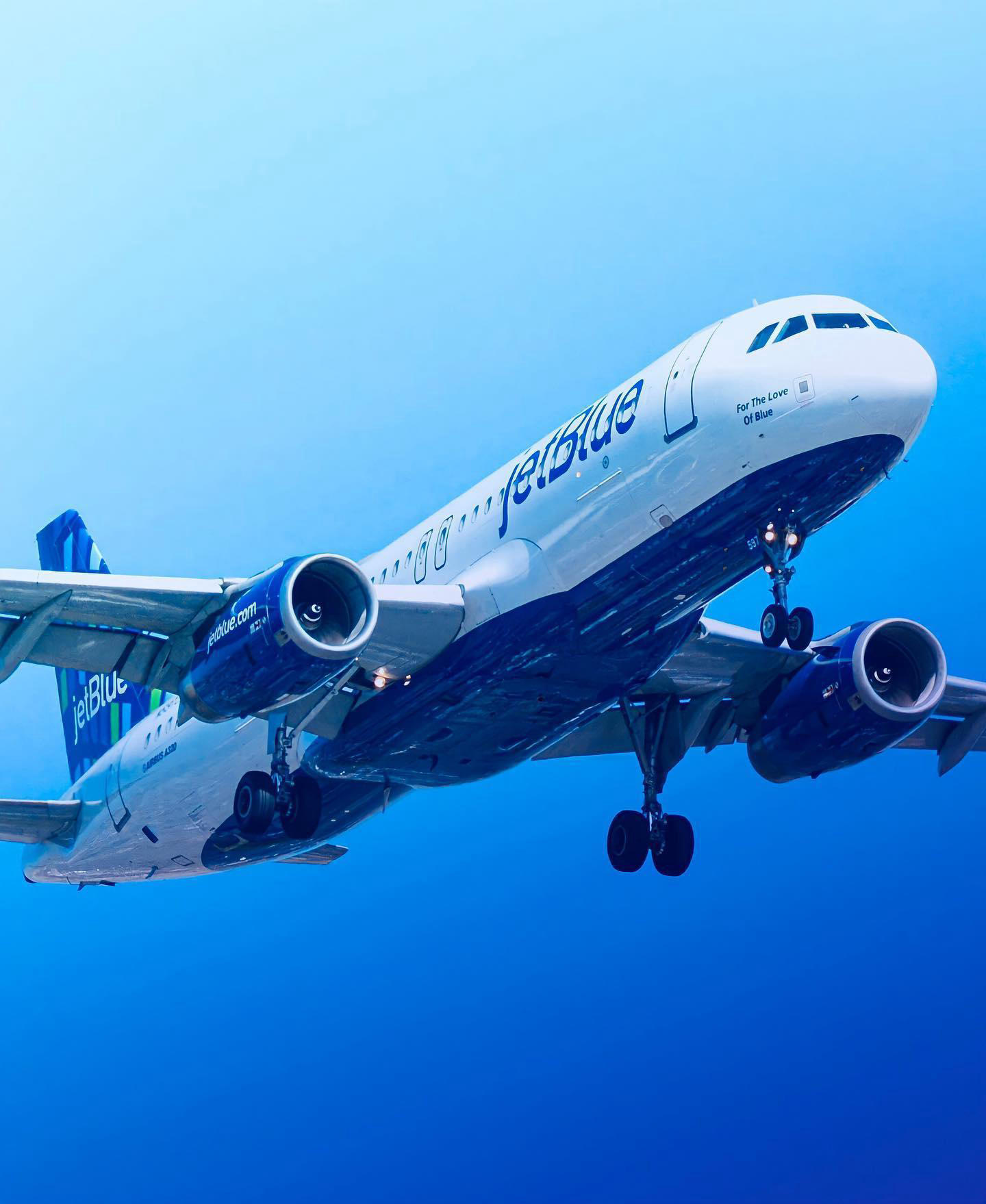 image  1 JetBlue - Post of the day : 18/8/2022