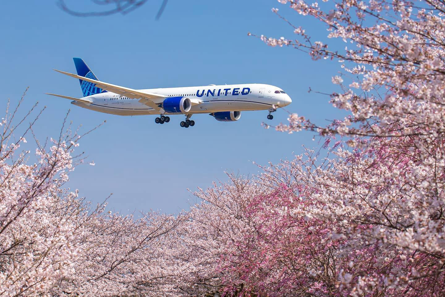 image  1 United Airlines - Japan is reopening 🇯🇵